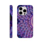 dce4ea9e-b5ef-4c3a-99d6-fbf7645fe83f