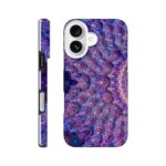 fd701c13-895a-4134-ac11-6a0b04a6d282